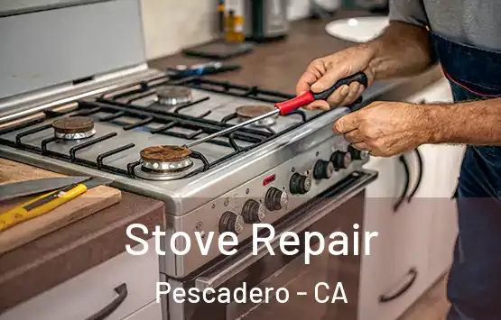  Stove Repair Pescadero - CA