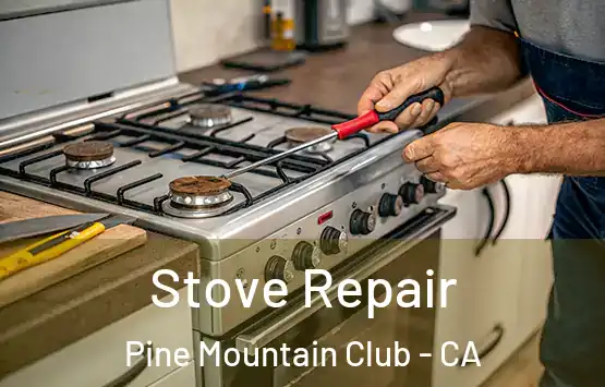 Stove Repair Pine Mountain Club - CA