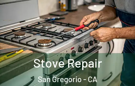  Stove Repair San Gregorio - CA