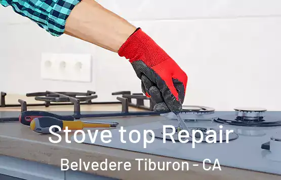  Stove top Repair Belvedere Tiburon - CA