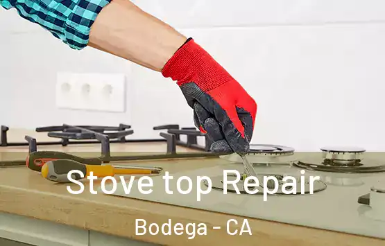  Stove top Repair Bodega - CA