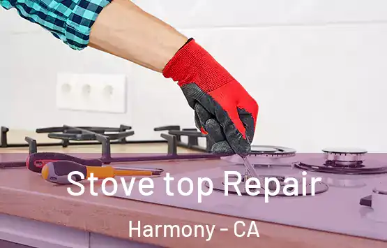  Stove top Repair Harmony - CA
