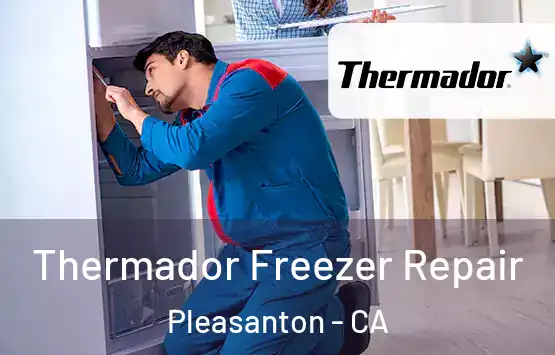  Thermador Freezer Repair Pleasanton - CA