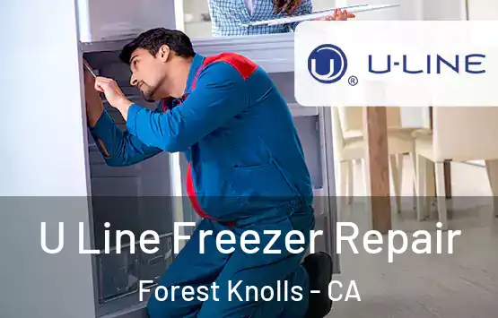  U Line Freezer Repair Forest Knolls - CA