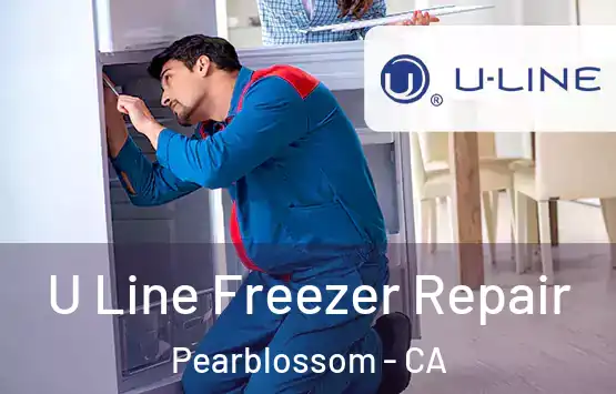  U Line Freezer Repair Pearblossom - CA