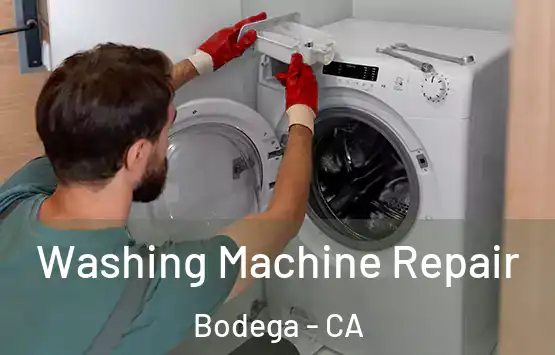  Washing Machine Repair Bodega - CA