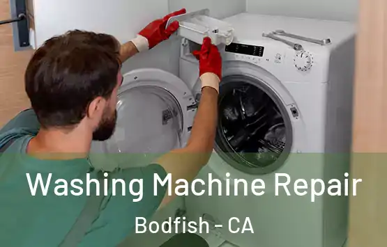  Washing Machine Repair Bodfish - CA