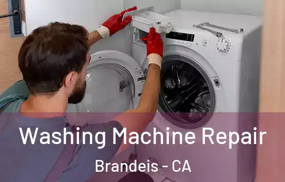  Washing Machine Repair Brandeis - CA