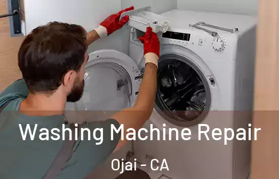  Washing Machine Repair Ojai - CA