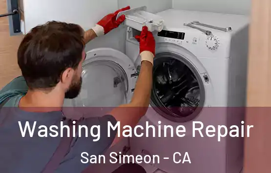  Washing Machine Repair San Simeon - CA
