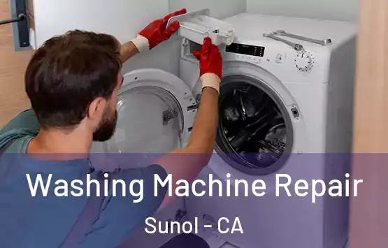  Washing Machine Repair Sunol - CA