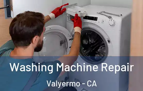  Washing Machine Repair Valyermo - CA