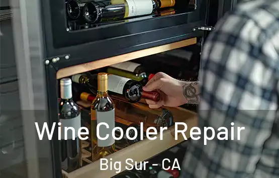  Wine Cooler Repair Big Sur - CA