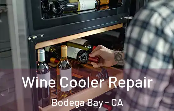  Wine Cooler Repair Bodega Bay - CA