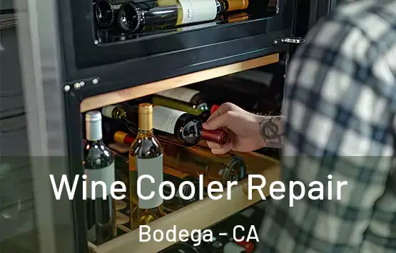  Wine Cooler Repair Bodega - CA