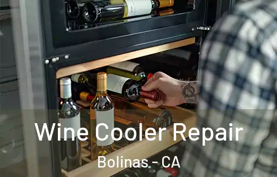  Wine Cooler Repair Bolinas - CA