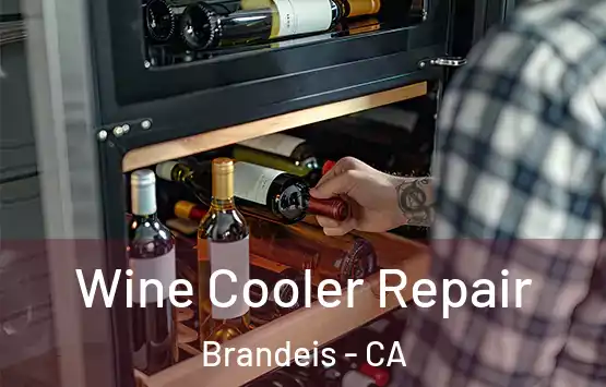  Wine Cooler Repair Brandeis - CA