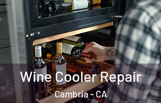  Wine Cooler Repair Cambria - CA