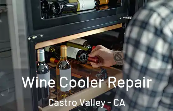  Wine Cooler Repair Castro Valley - CA