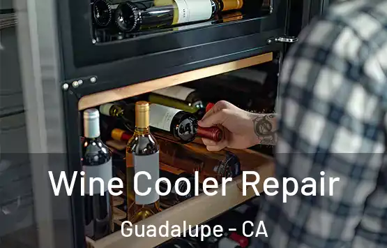  Wine Cooler Repair Guadalupe - CA