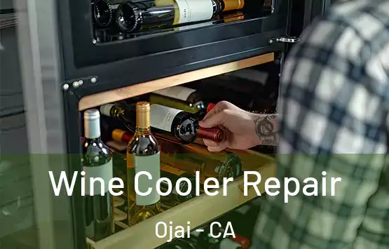  Wine Cooler Repair Ojai - CA