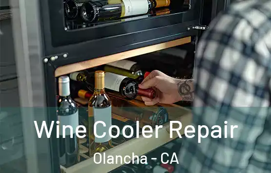  Wine Cooler Repair Olancha - CA