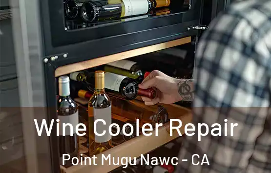  Wine Cooler Repair Point Mugu Nawc - CA