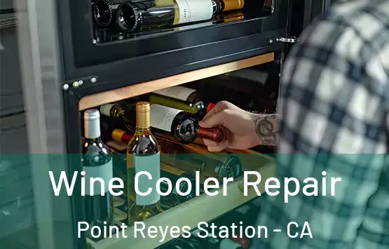  Wine Cooler Repair Point Reyes Station - CA