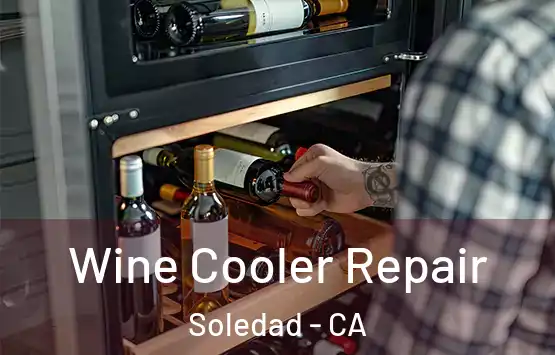  Wine Cooler Repair Soledad - CA