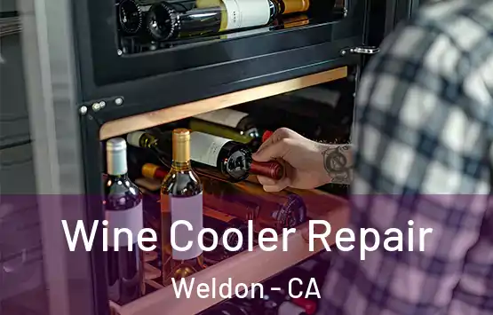  Wine Cooler Repair Weldon - CA